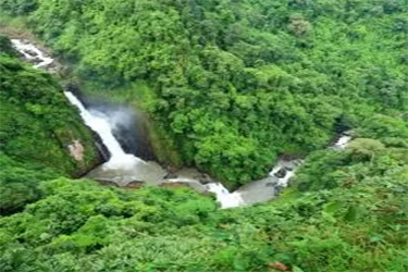 Hotels in Khao Yai