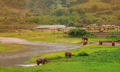 elephant-sanctuary-waterfall-bamboo-rafting-one-day-trip