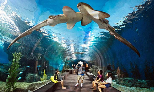 pattaya-underwater-world-admission-ticket